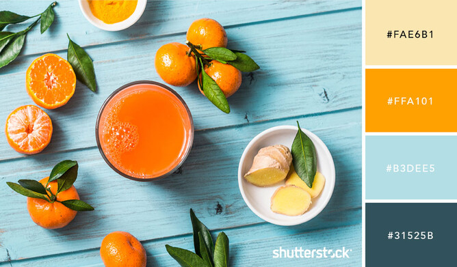 Shutterstock's colour palettes for your brand | Designerbloom Graphic ...